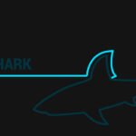 Wireshark للمبتدئين – تحليل الشبكات خطوة بخطوة